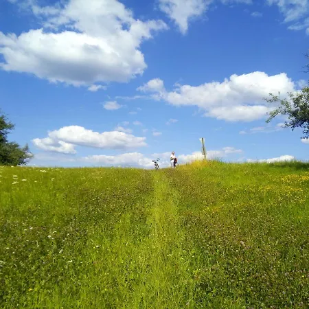 公寓 Ferienwohnung Dorfzeit Mörlenbach