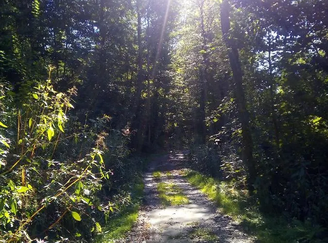 Appartement Ferienwohnung Dorfzeit *